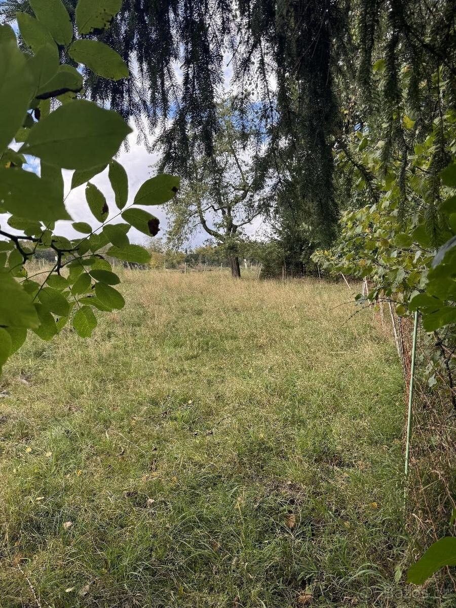 Prodej pozemek pro bydlení - Úpice, 542 32