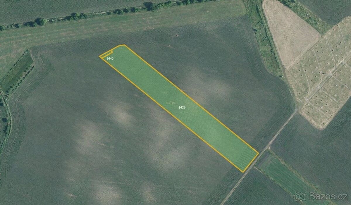 Prodej pozemek pro bydlení - Těšany, 664 54