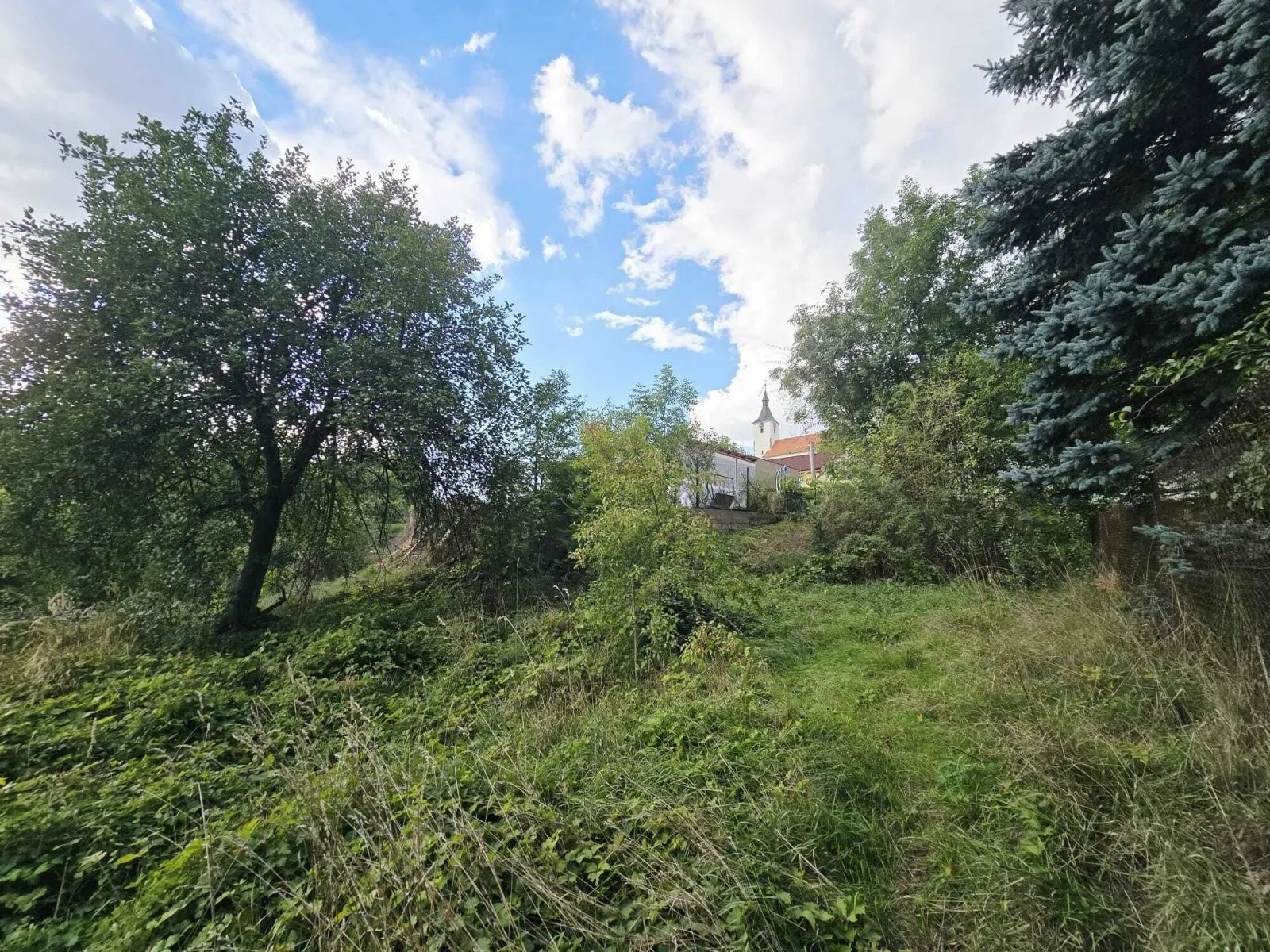 Ostatní