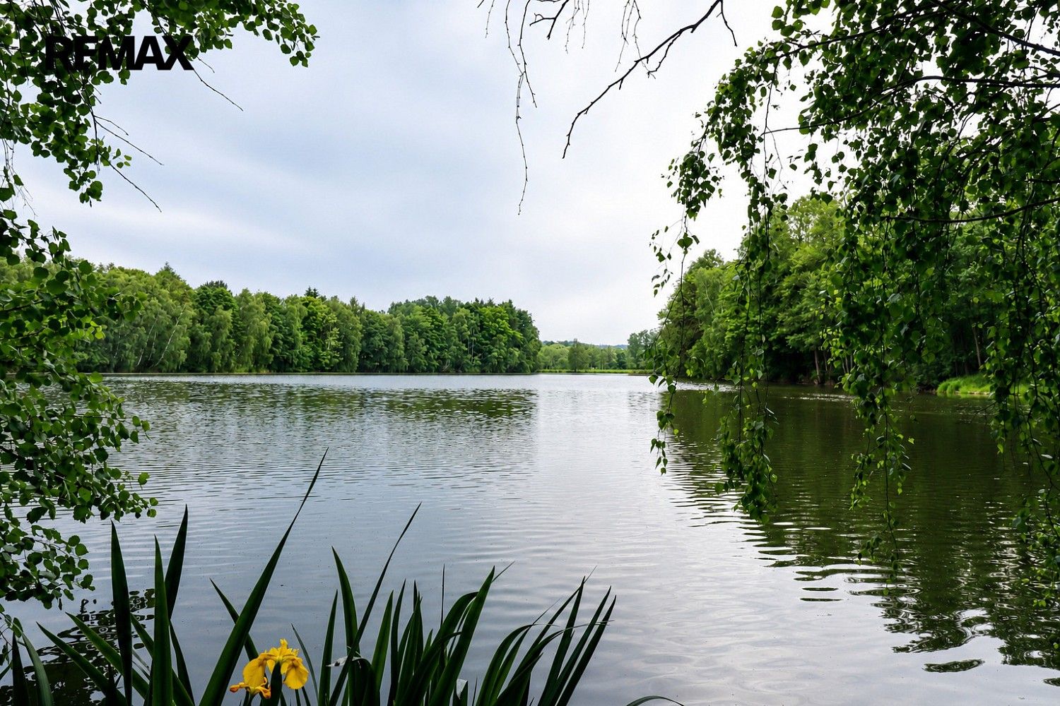 Rybníky, Čejov - Hadina, okres Pelhřimov - 2