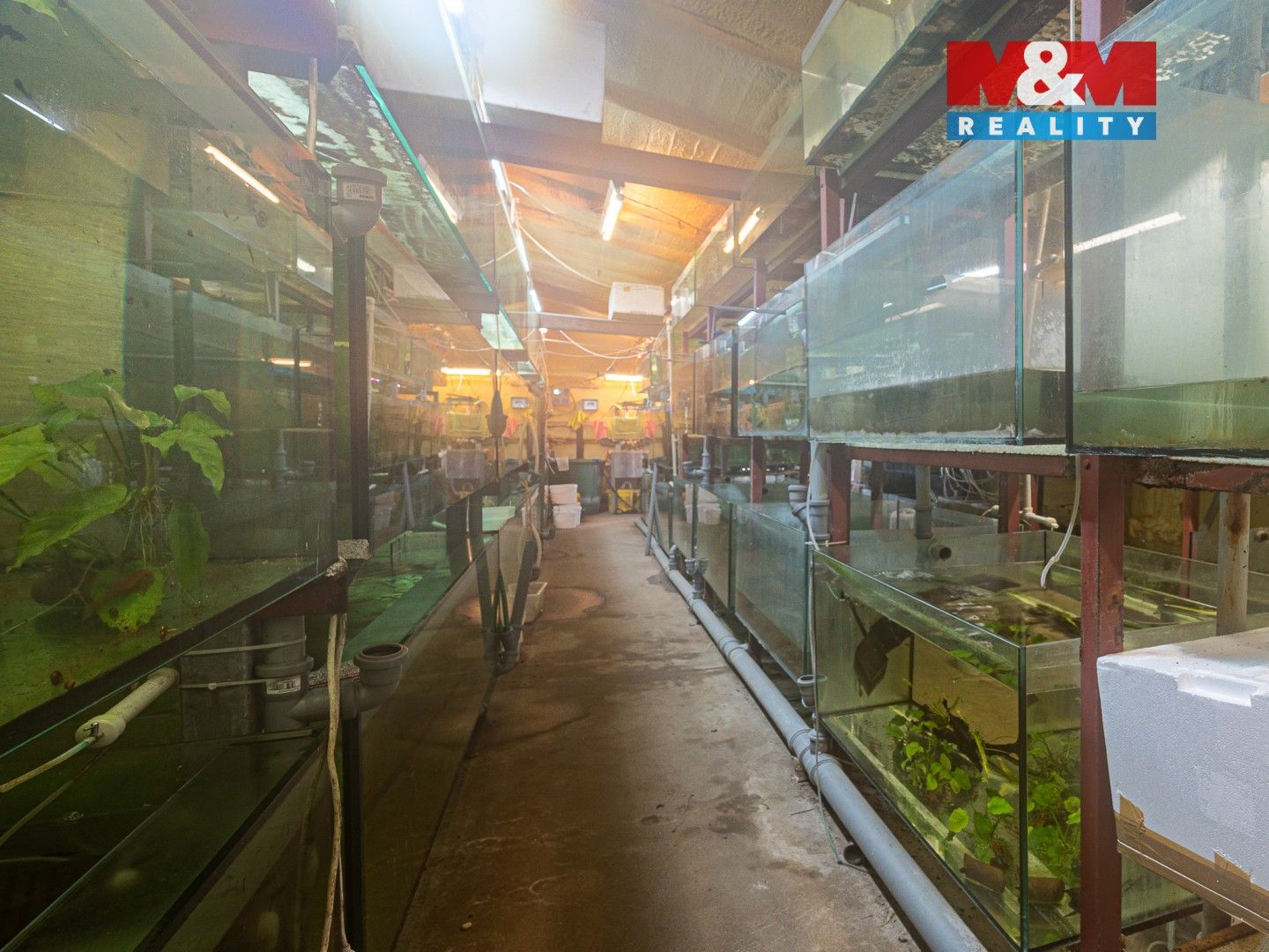 Obchodní prostory · 64 m² · Hlavní, Senohraby - 3