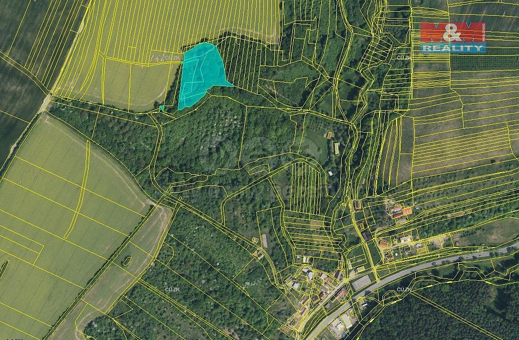 Les · Lhota, okres Zlín, Zlínský kraj - 3