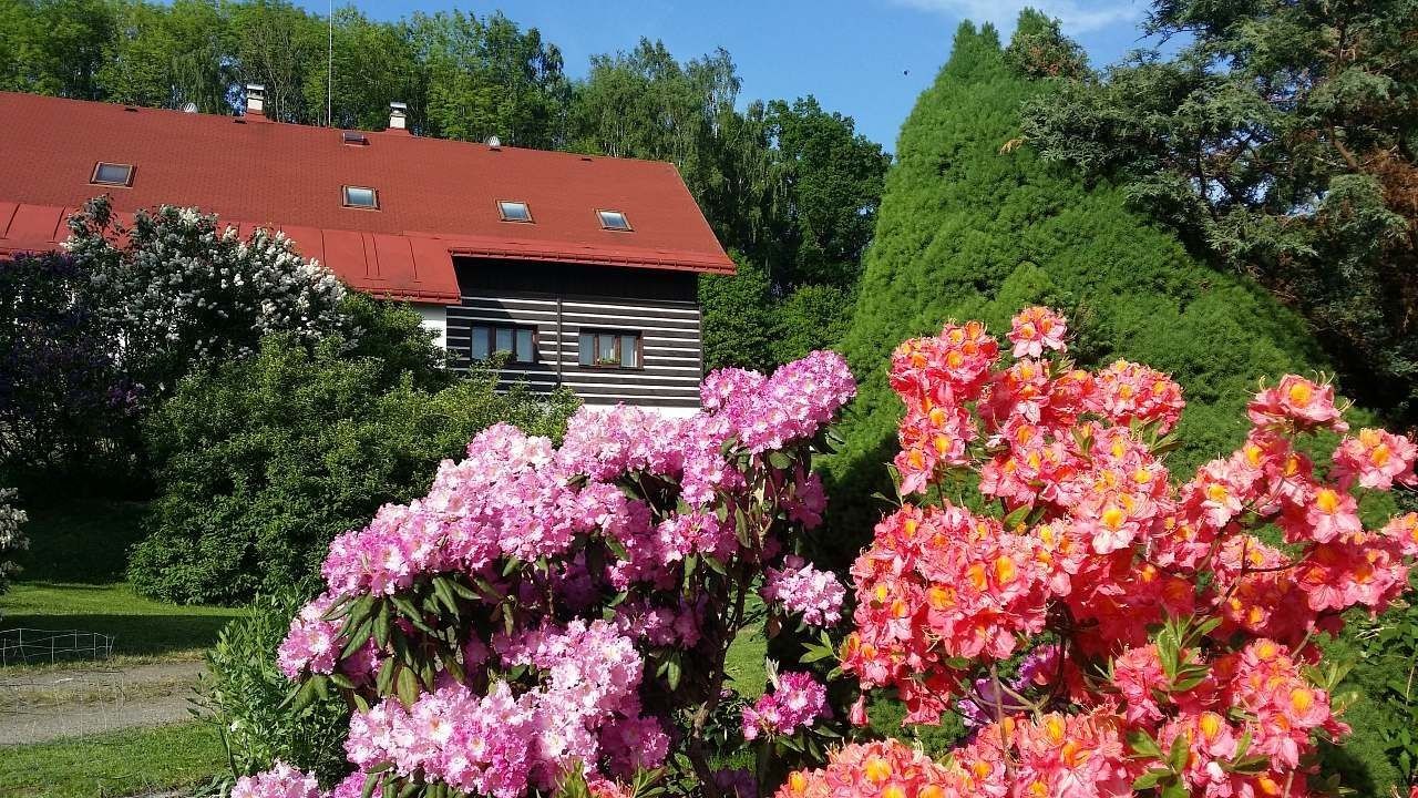 Chaty, Skuhrov - Skuhrov u Železného Brodu, Liberecký kraj - 2