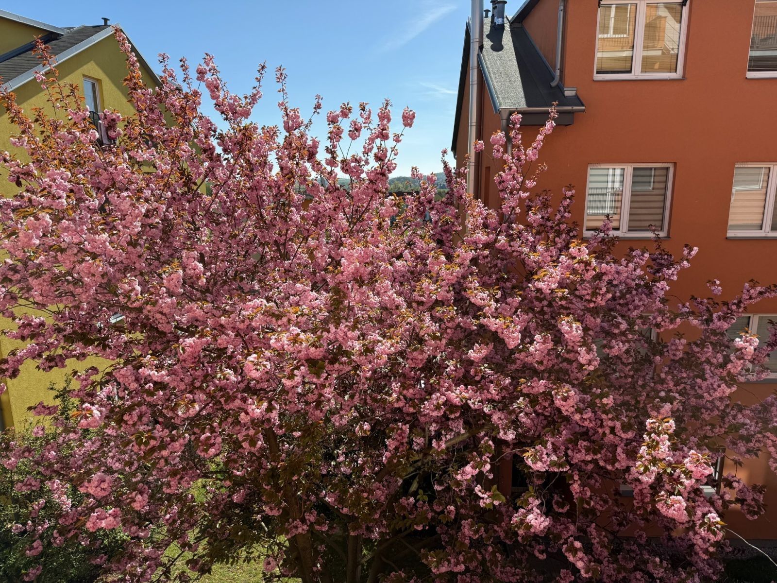 2+kk, Za Devítkou, Jinočany - Jinočany, Středočeský kraj, 49 m² - 2