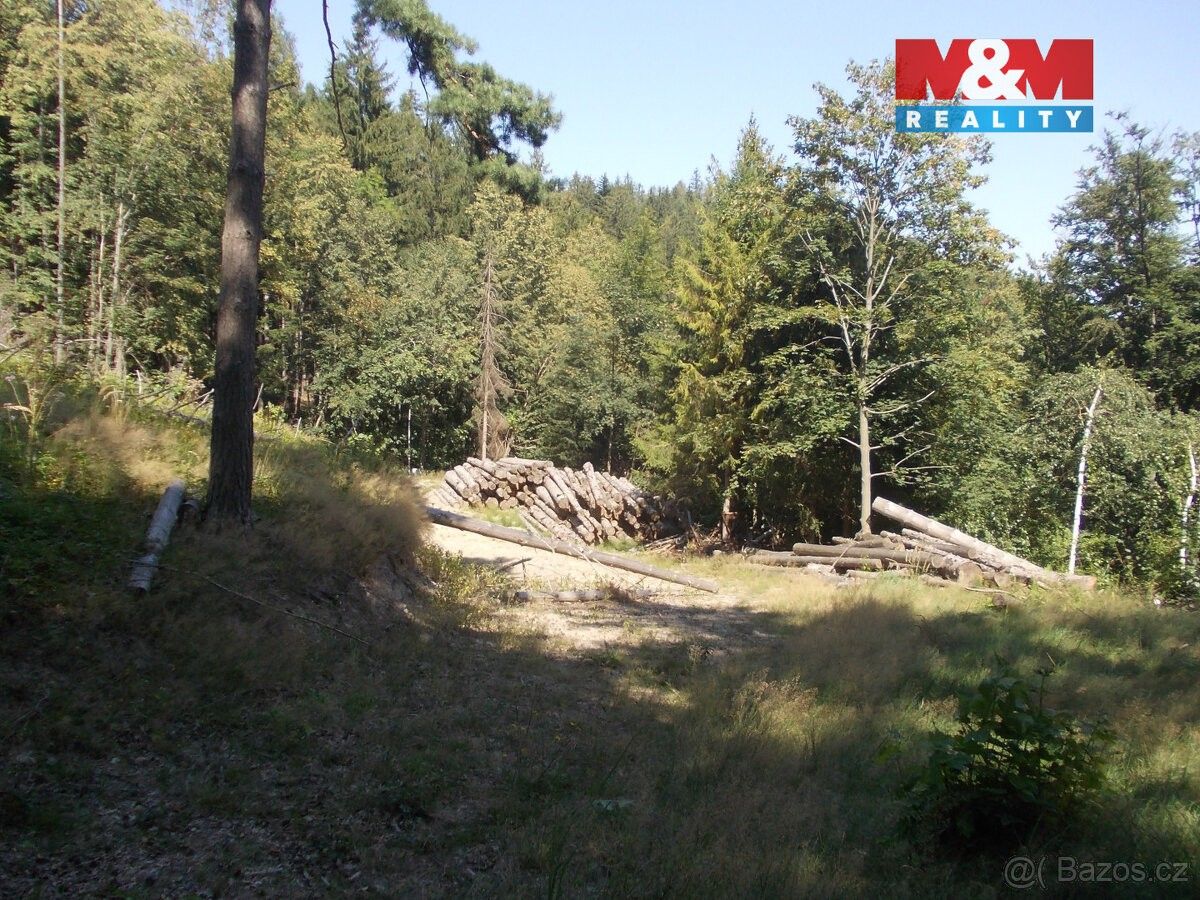 Prodej pozemek pro bydlení - Frýdlant nad Ostravicí, 739 11