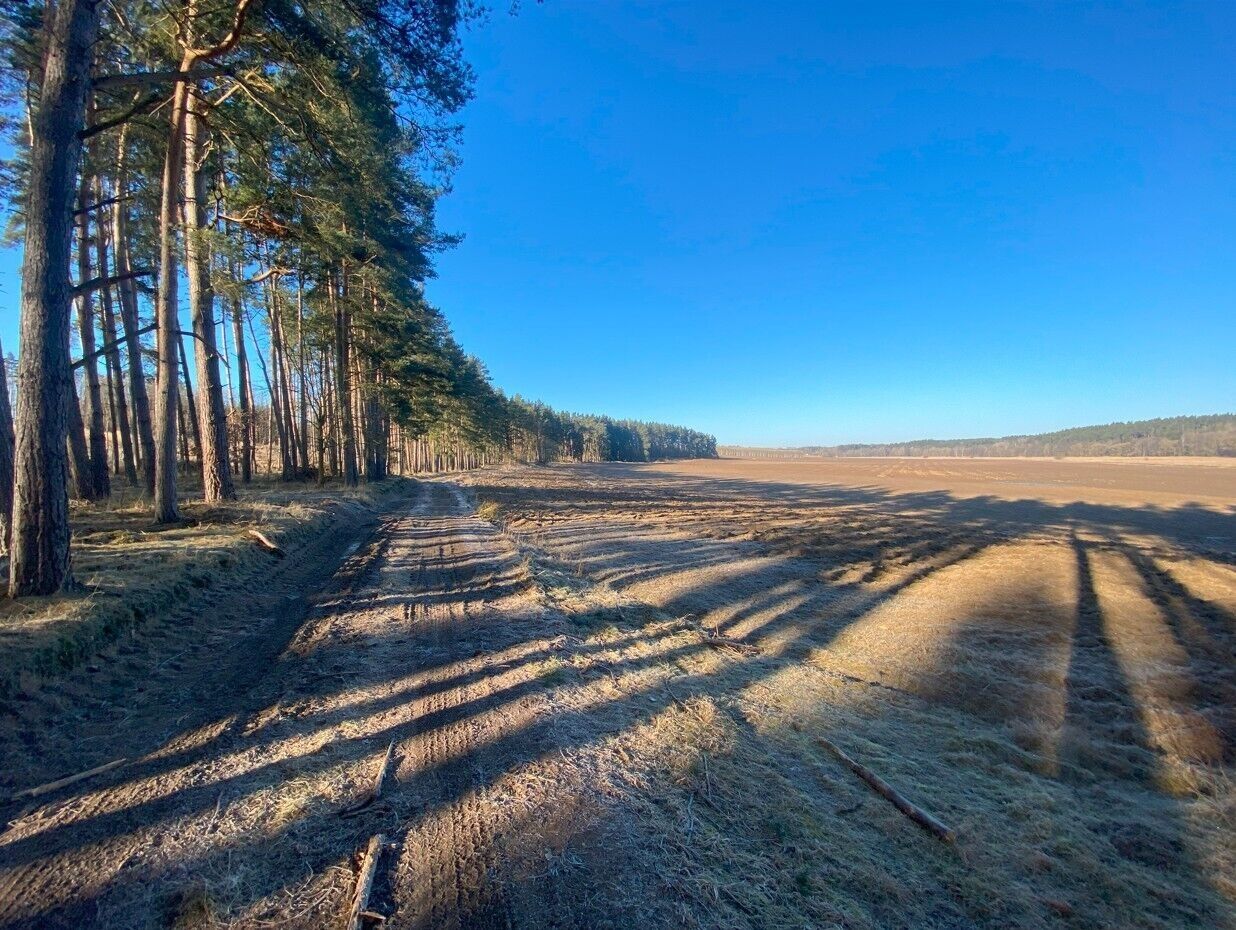 Pozemek · 3 847 m² · Kočov Klíčov - 3