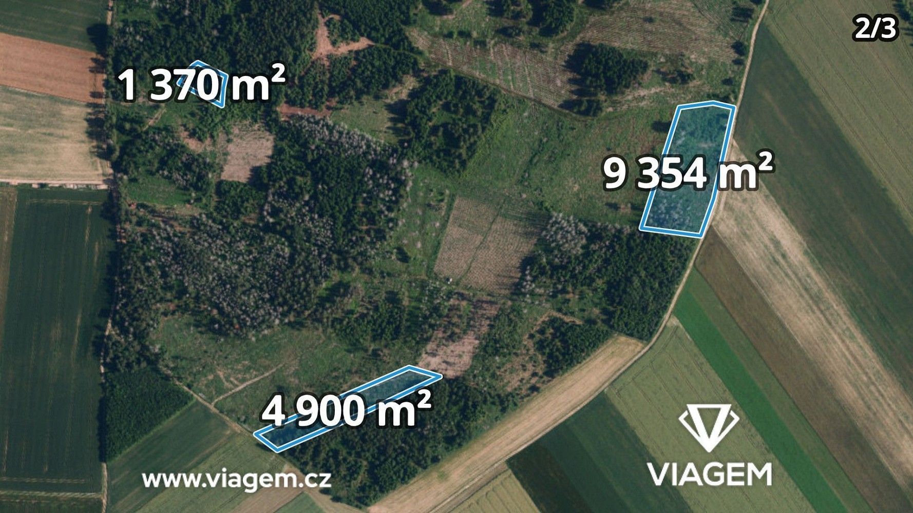 Prodej les - Radkovice u Budče, okres Třebíč - 5