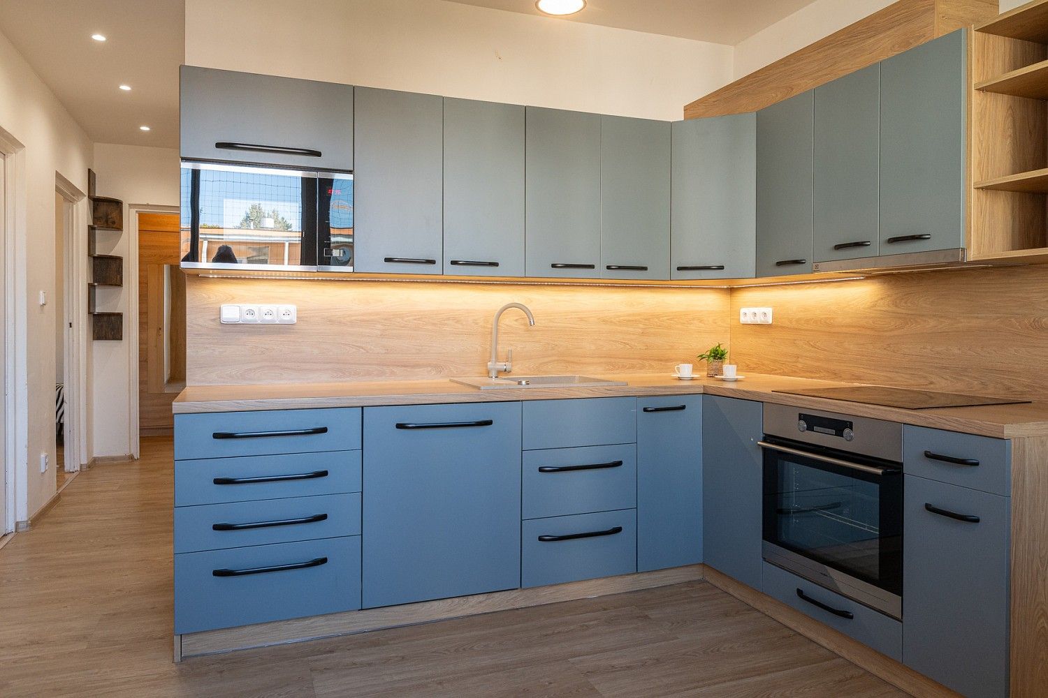 2+1, Fričova, Brno - Žabovřesky, 54 m² - 2