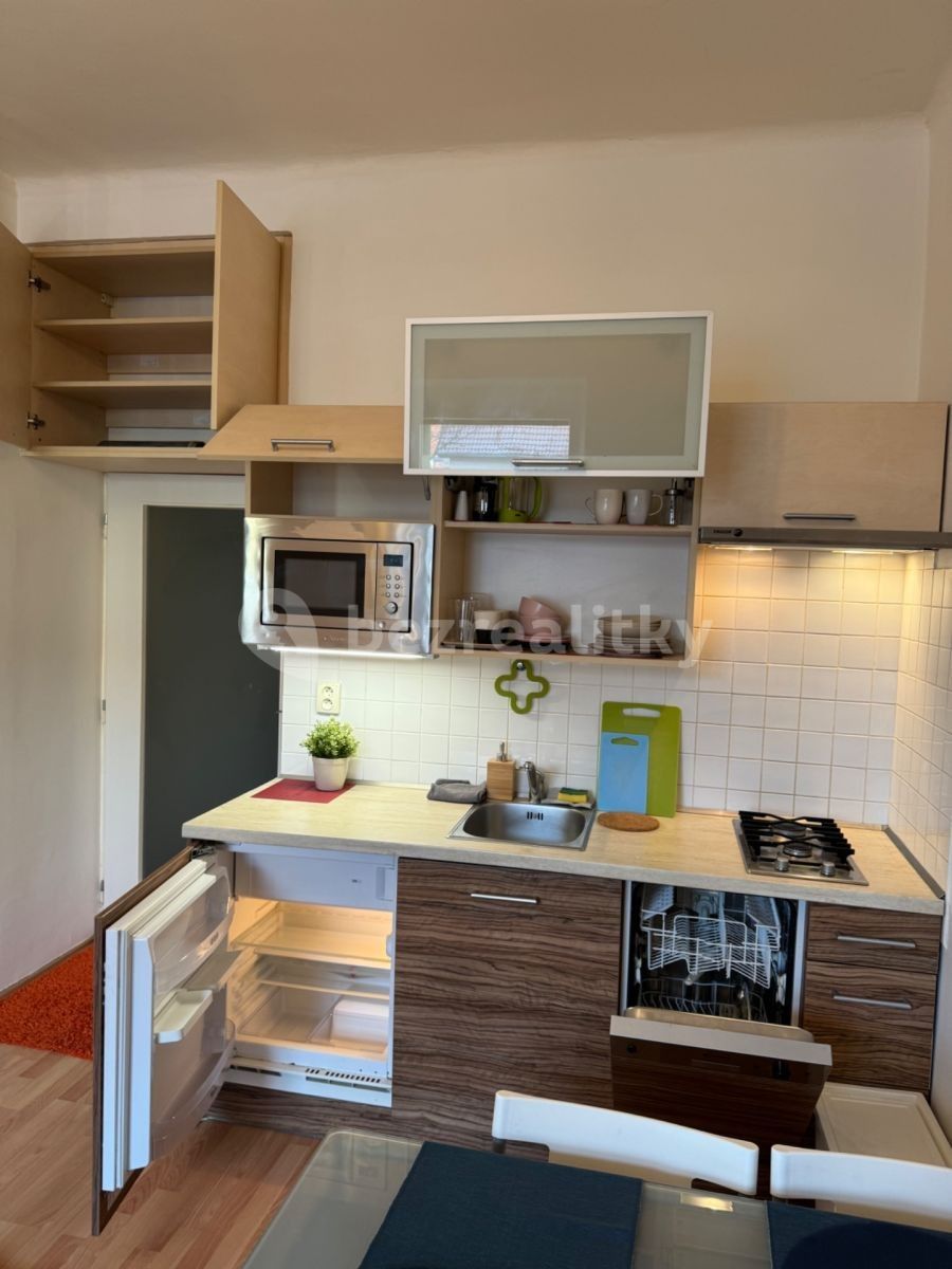 Byt 1+kk · 30 m² · V Domově, Praha - Žižkov - 3