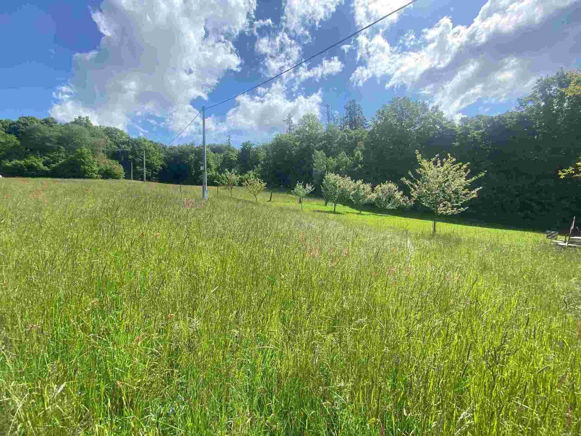 Ostatní, Odry, 574 m²