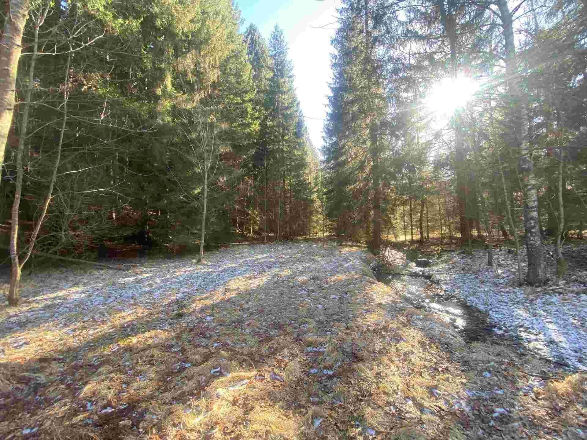 Pozemek · 10 377 m² · Čachrov Javorná - 4