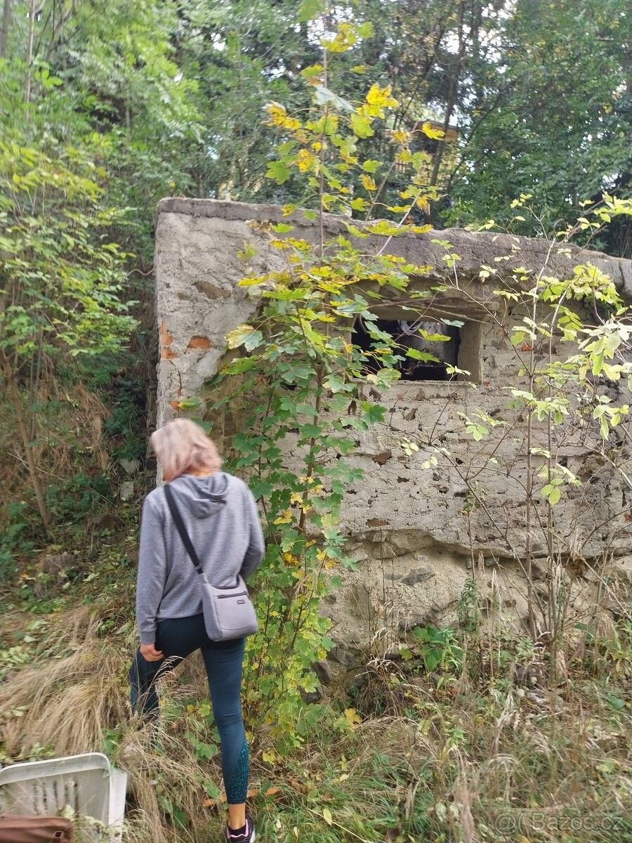 Prodej ostatní - Suchdol u Prostějova, 798 45 - 5