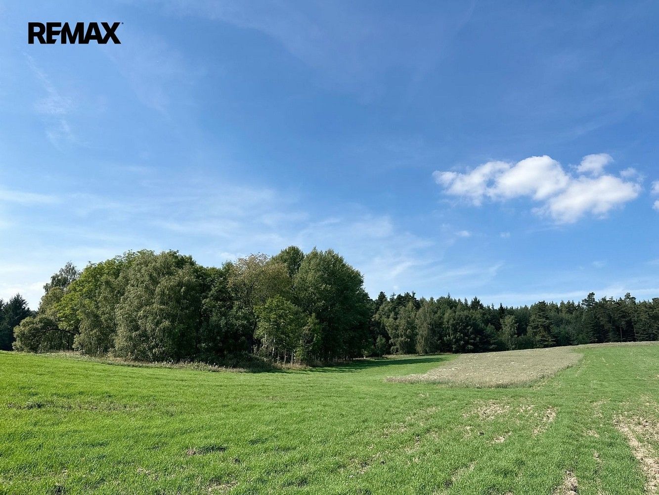 Prodej les - Dlouhý Újezd, okres Tachov, Plzeňský kraj - 5