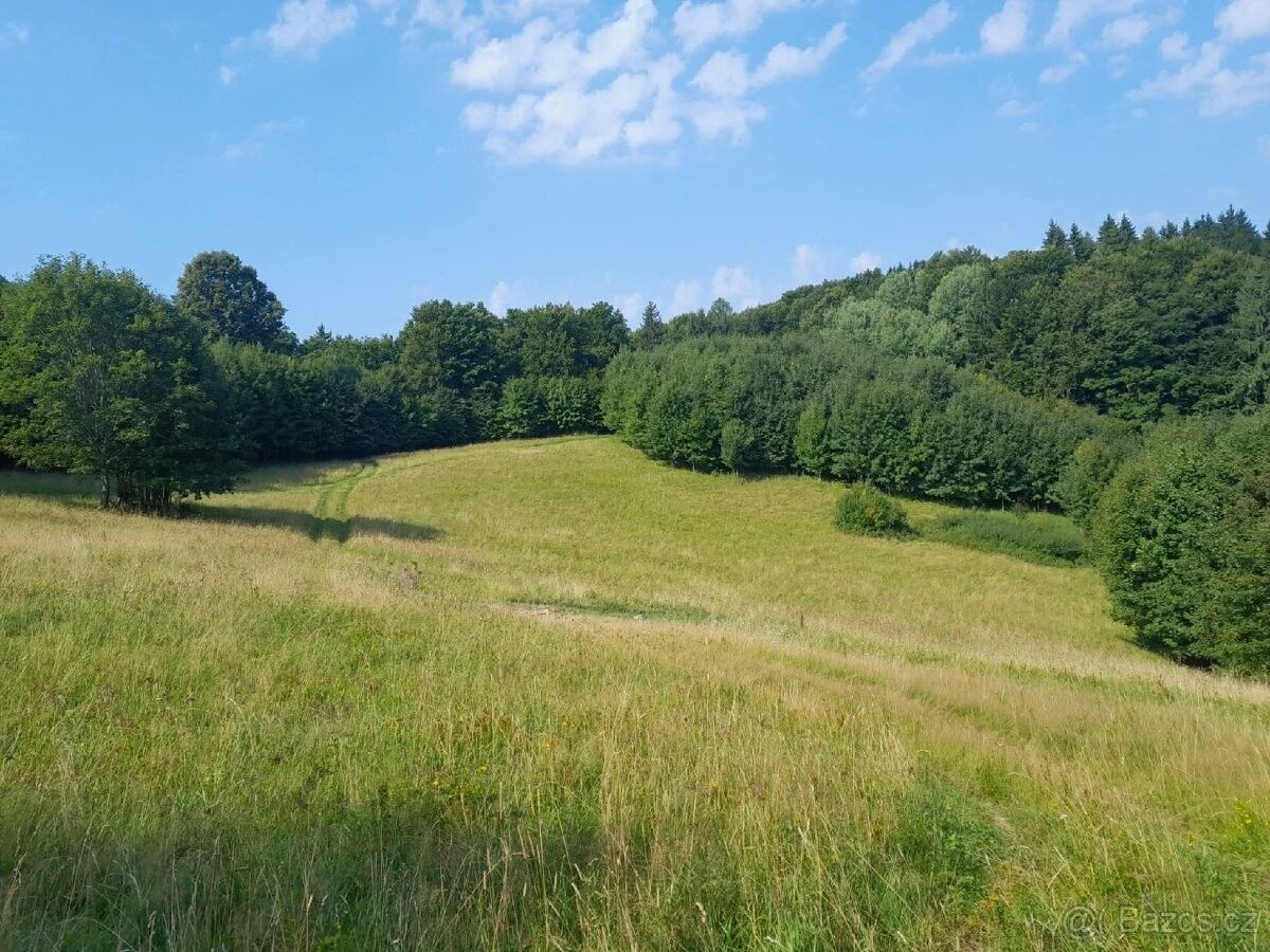 Pozemky pro bydlení, Nový Hrozenkov, 756 04 - 1