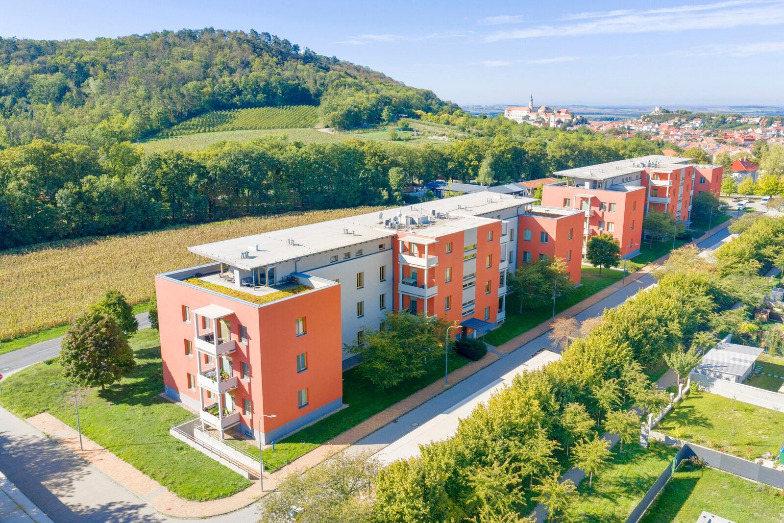 Prodej byt 1+kk - Bezručova 1575, Mikulov, 30 m² - 1