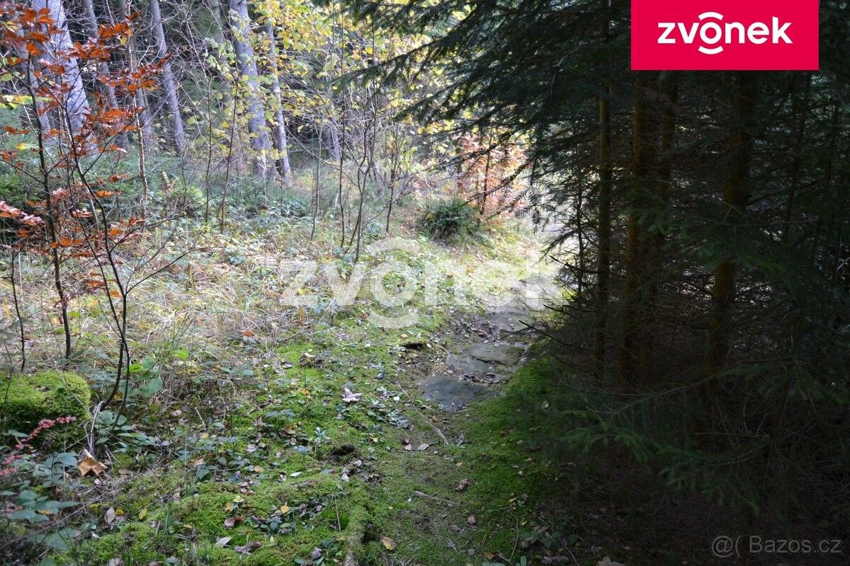 Prodej chata - Velké Karlovice, 756 06