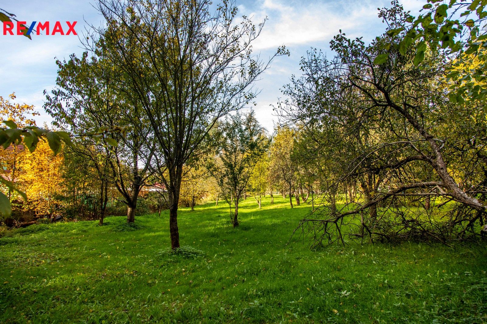 Prodej pozemek pro bydlení - Zubří, 1 m²
