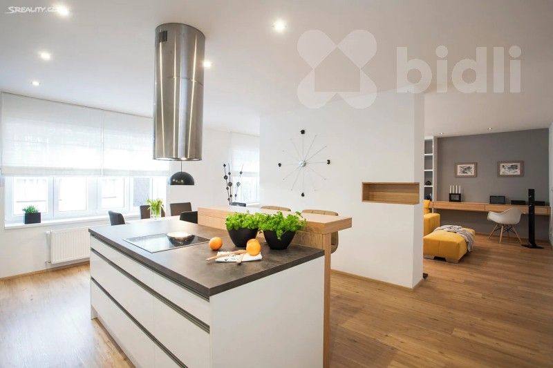3+kk, Primátorská 325, Praha Libeň, 117 m² - 1