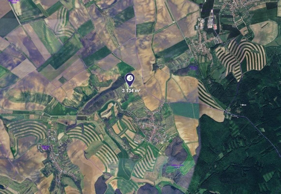 Zahrady, Kobeřice u Brna, 3 134 m² - 2