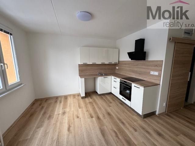 Pronájem byt 1+1 - Vrchlického, Duchcov, 39 m²