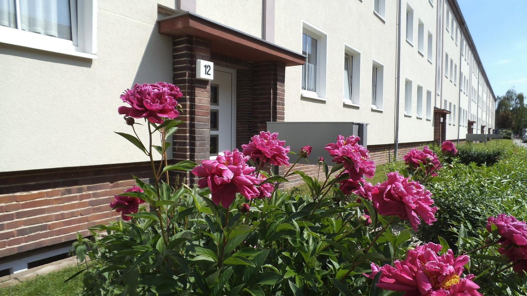 2+1, Eisnerstraße 8 Magdeburg Stadtfeld Sachsen-Anhalt 39110, 49 m² - 2
