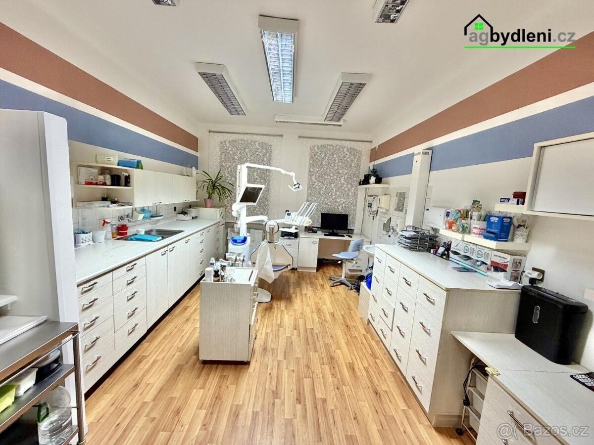 Ostatní, Plzeň, 301 00