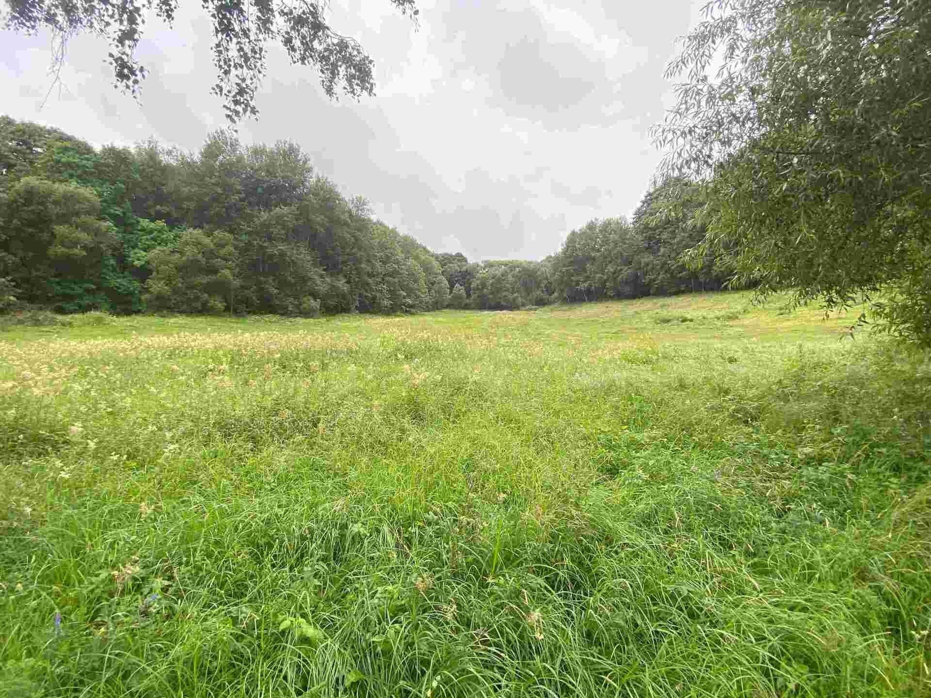 Prodej zemědělský pozemek - Vidžín, Úterý, 11 m²