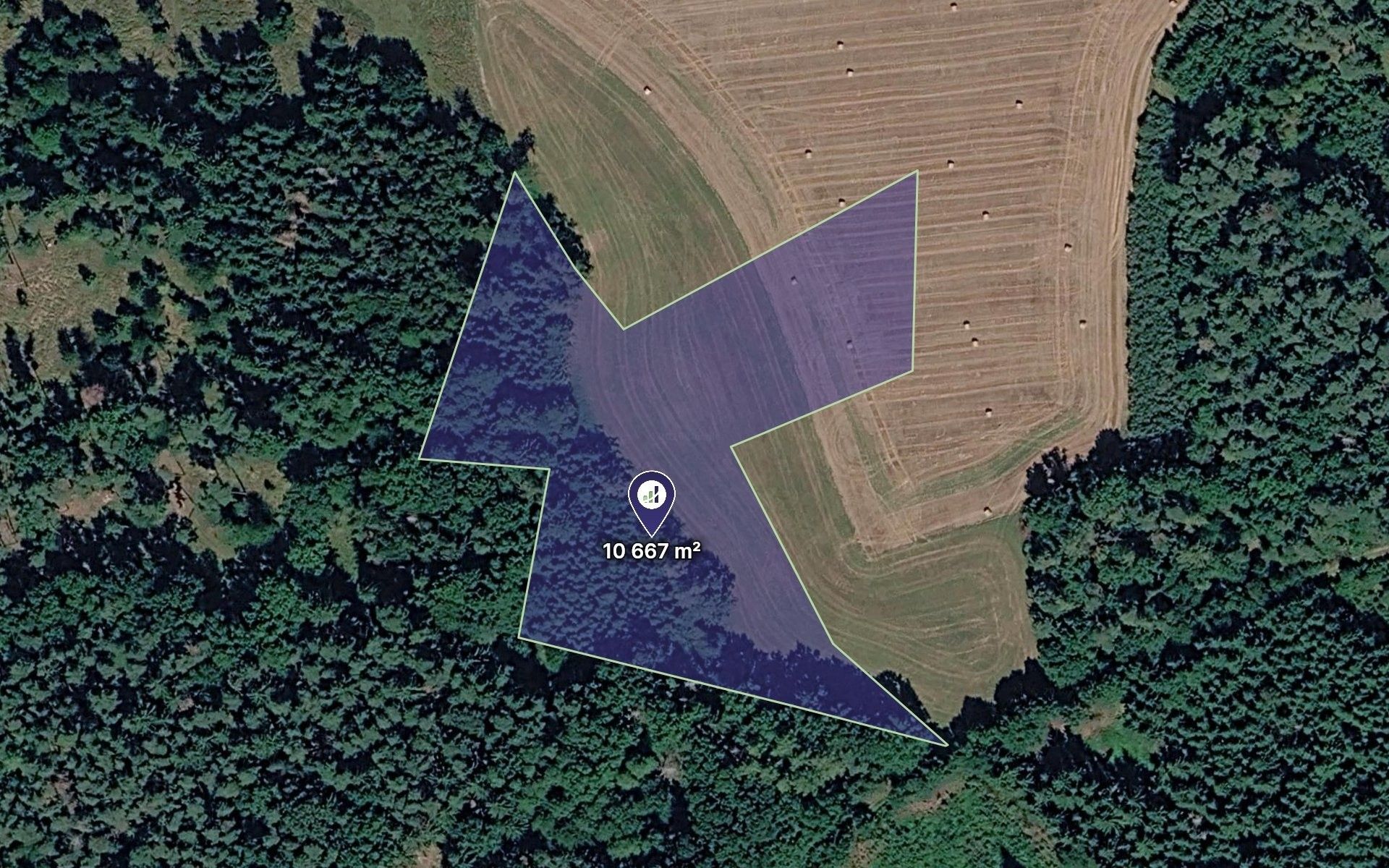 Lesy, Hrazany, 7 381 m² - 1