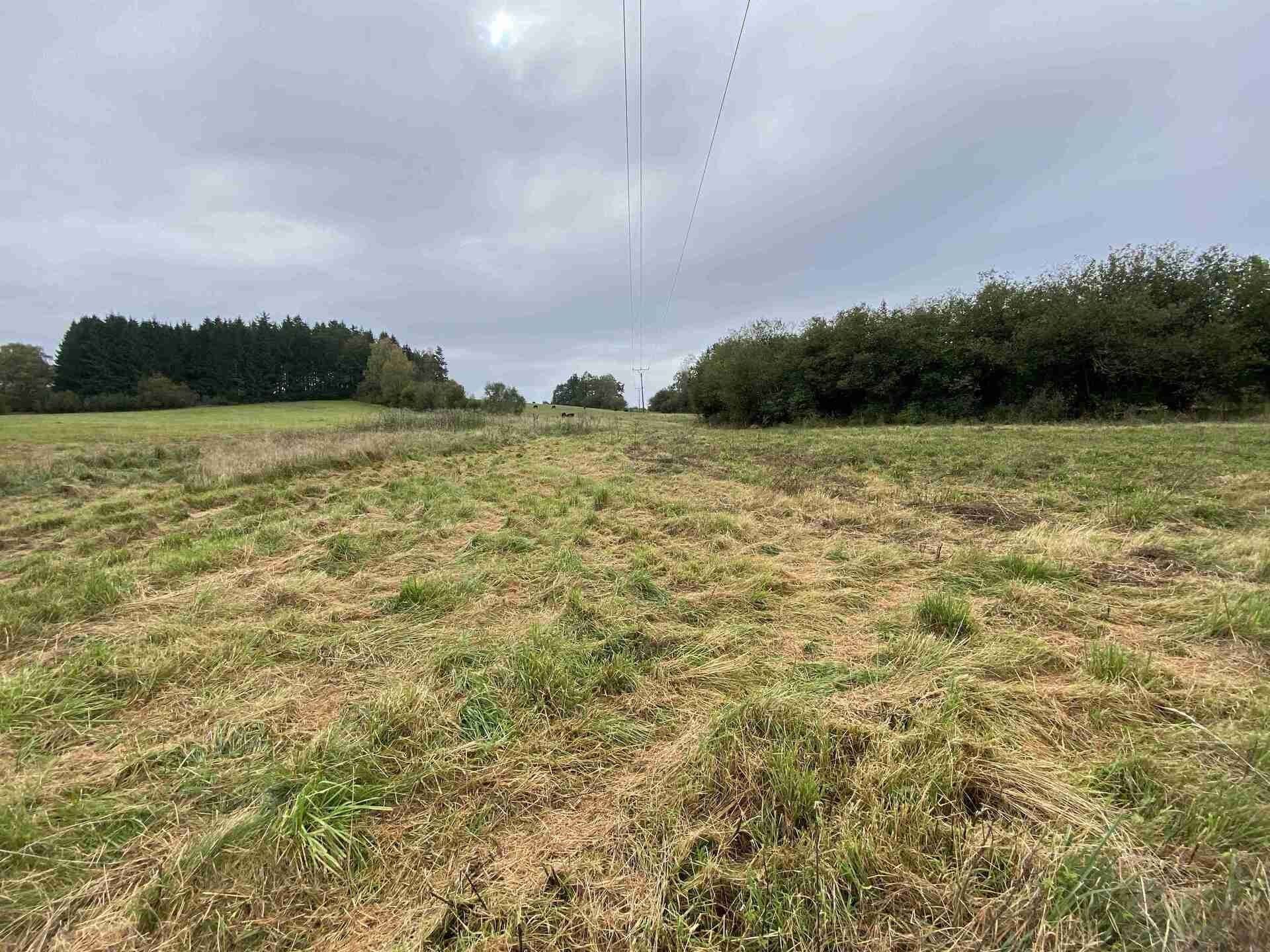 Pozemek · 11 798 m² · Nová Bystřice Senotín - 3