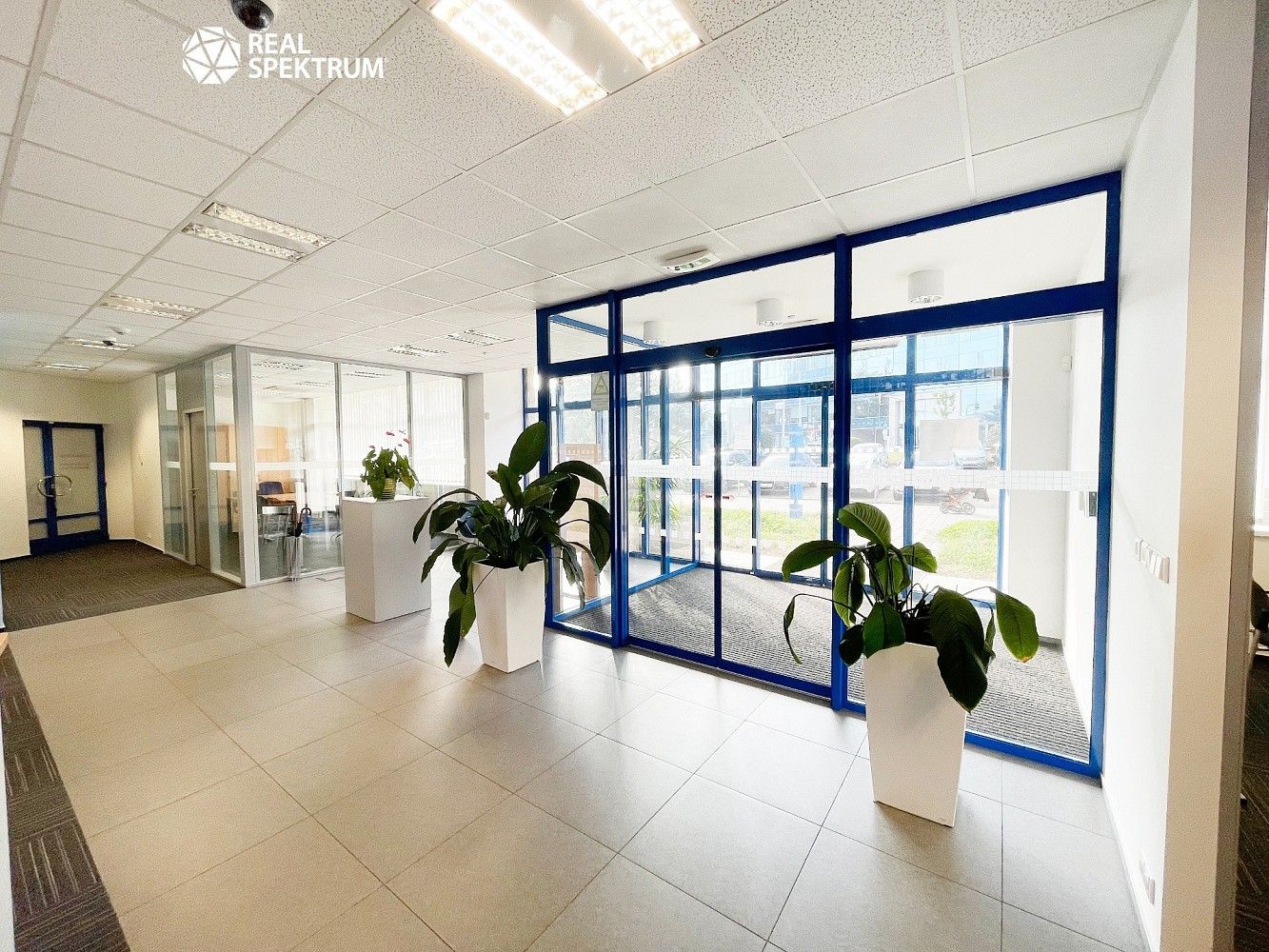 Kancelář · 470 m² · Brno - Veveří, okres Brno-město, Jihomoravský kraj - 4