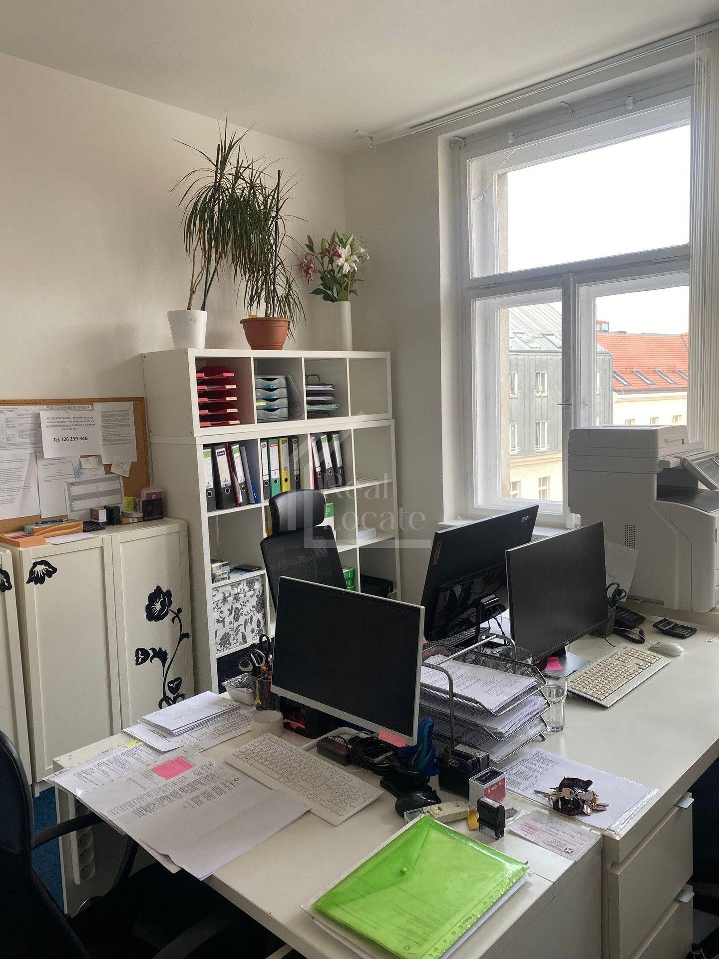 Pronájem kancelář - Opletalova, Praha, 53 m²