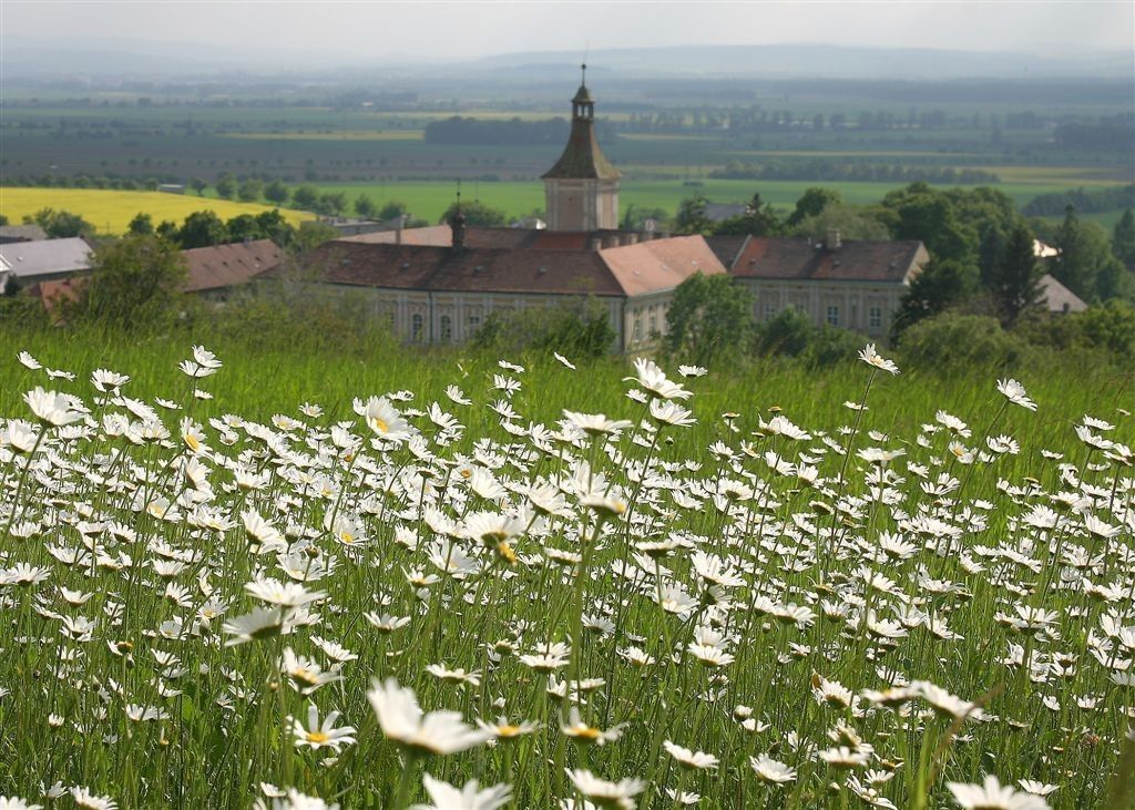 Obchodní prostory, Přestavlky, Přestavlky - Přestavlky u Přerova, Olomoucký kraj, 9 800 m² - 1
