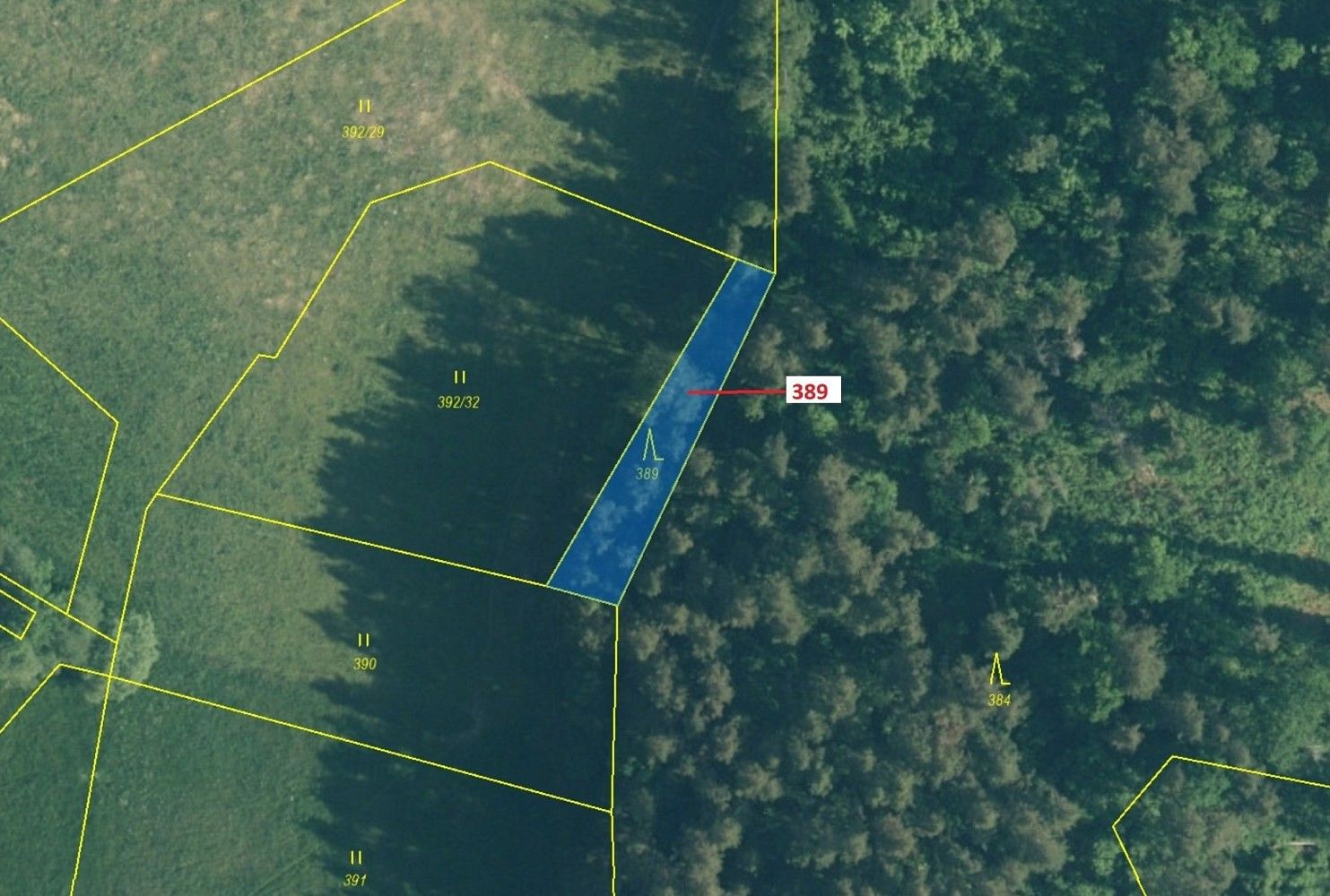 Les · Zavlekov, okres Klatovy, Plzeňský kraj - 2