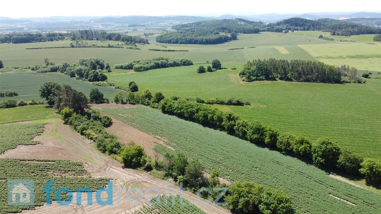 Prodej pozemek - Radomyšl, 16 147 m²
