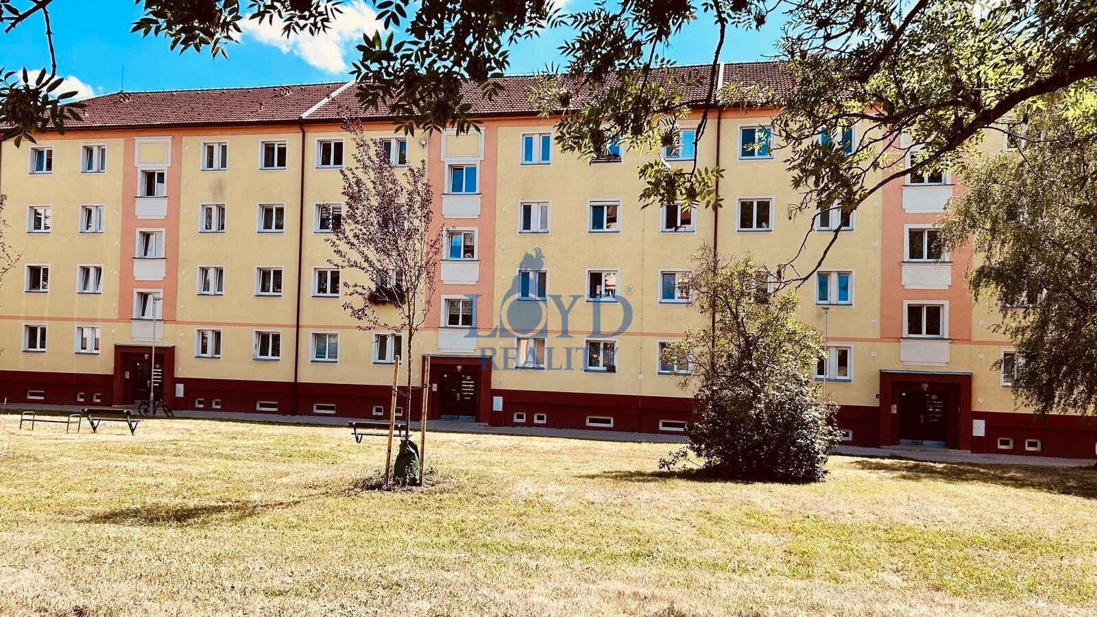 2+1, Májová 843, Ostrov, 59 m² - 1