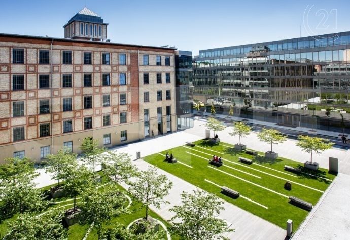 Pronájem kancelář - Jankovcova, Praha, 330 m²