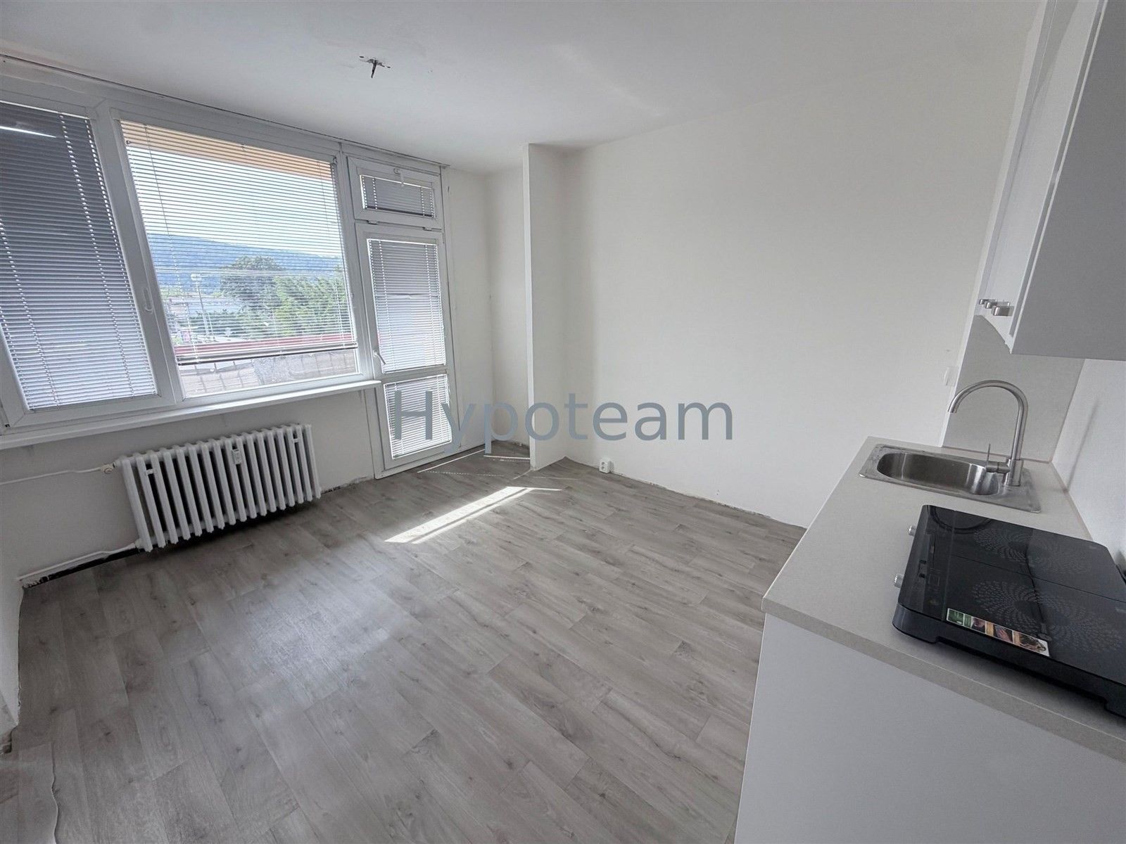 Byt 1+1, 42 m²