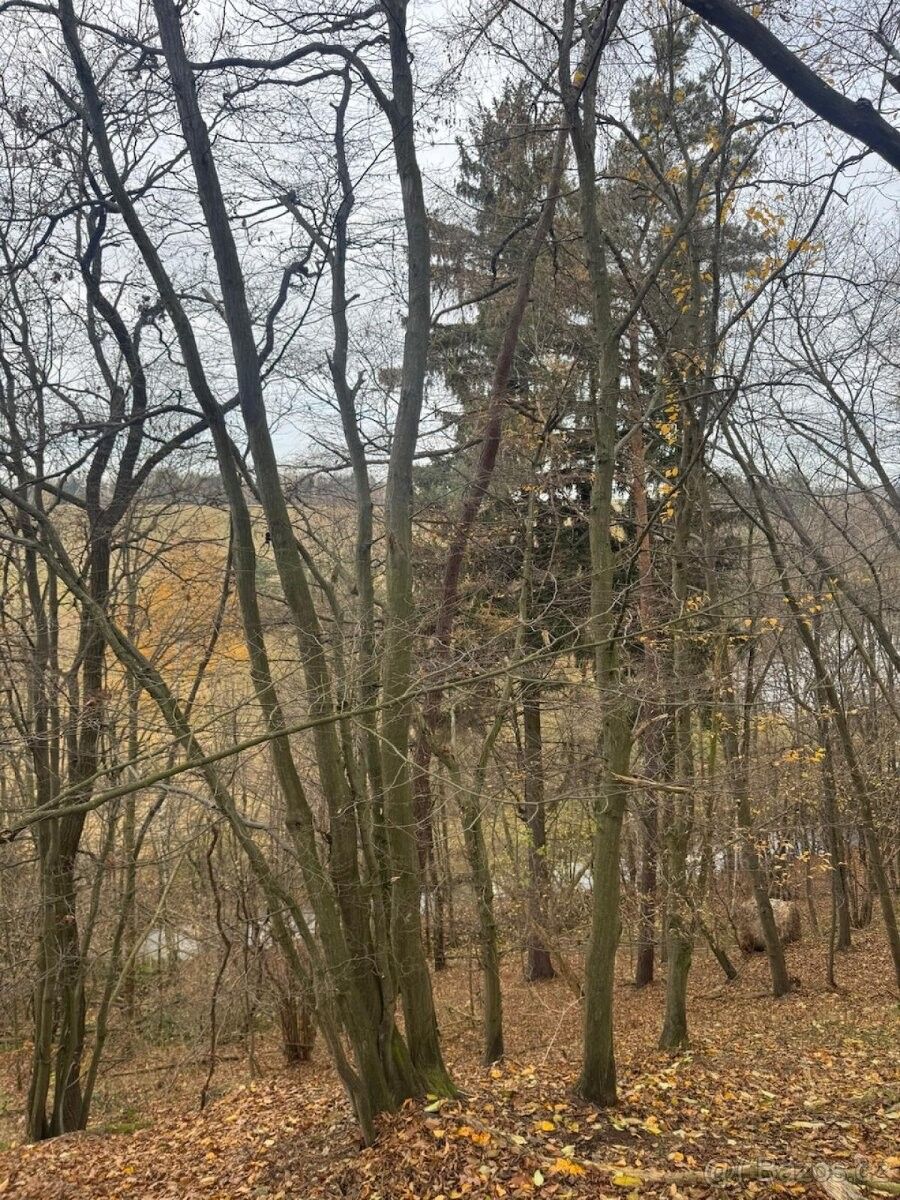 Prodej pozemek pro bydlení - Drahany, 798 61