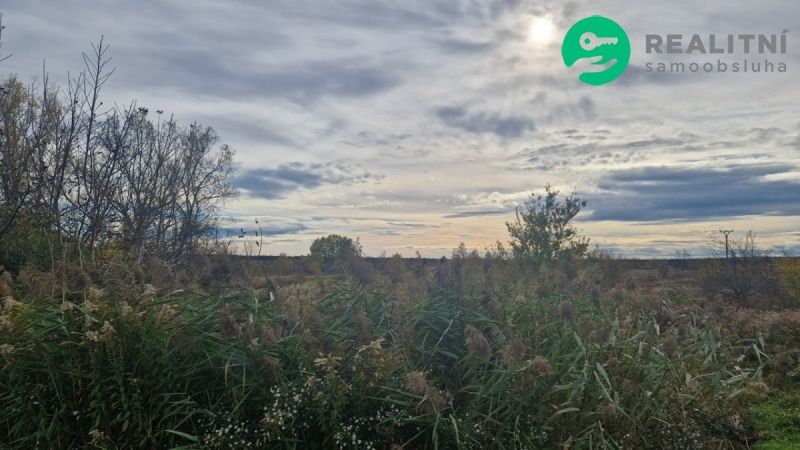 Zemědělské pozemky, Dubňany