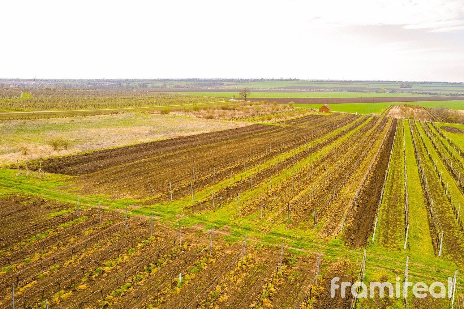 Pozemky pro bydlení, Moravský Žižkov