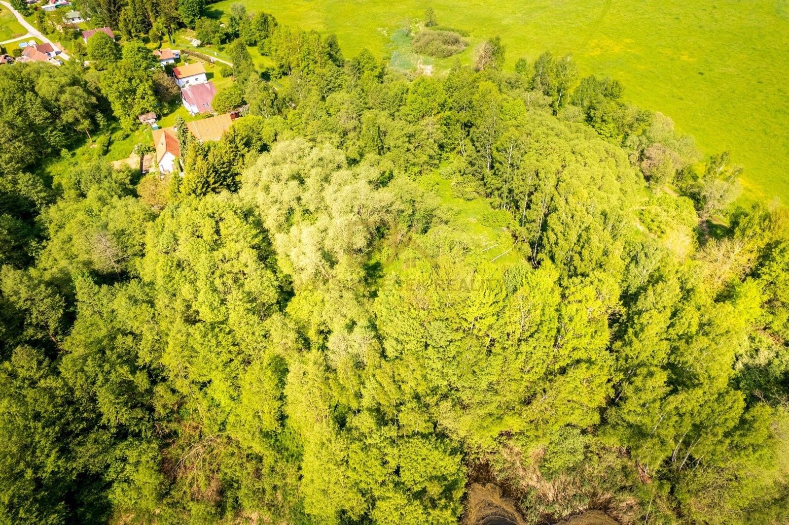 Pozemek pro bydlení · 5 446 m² · Benešov nad Černou Hartunkov - 3