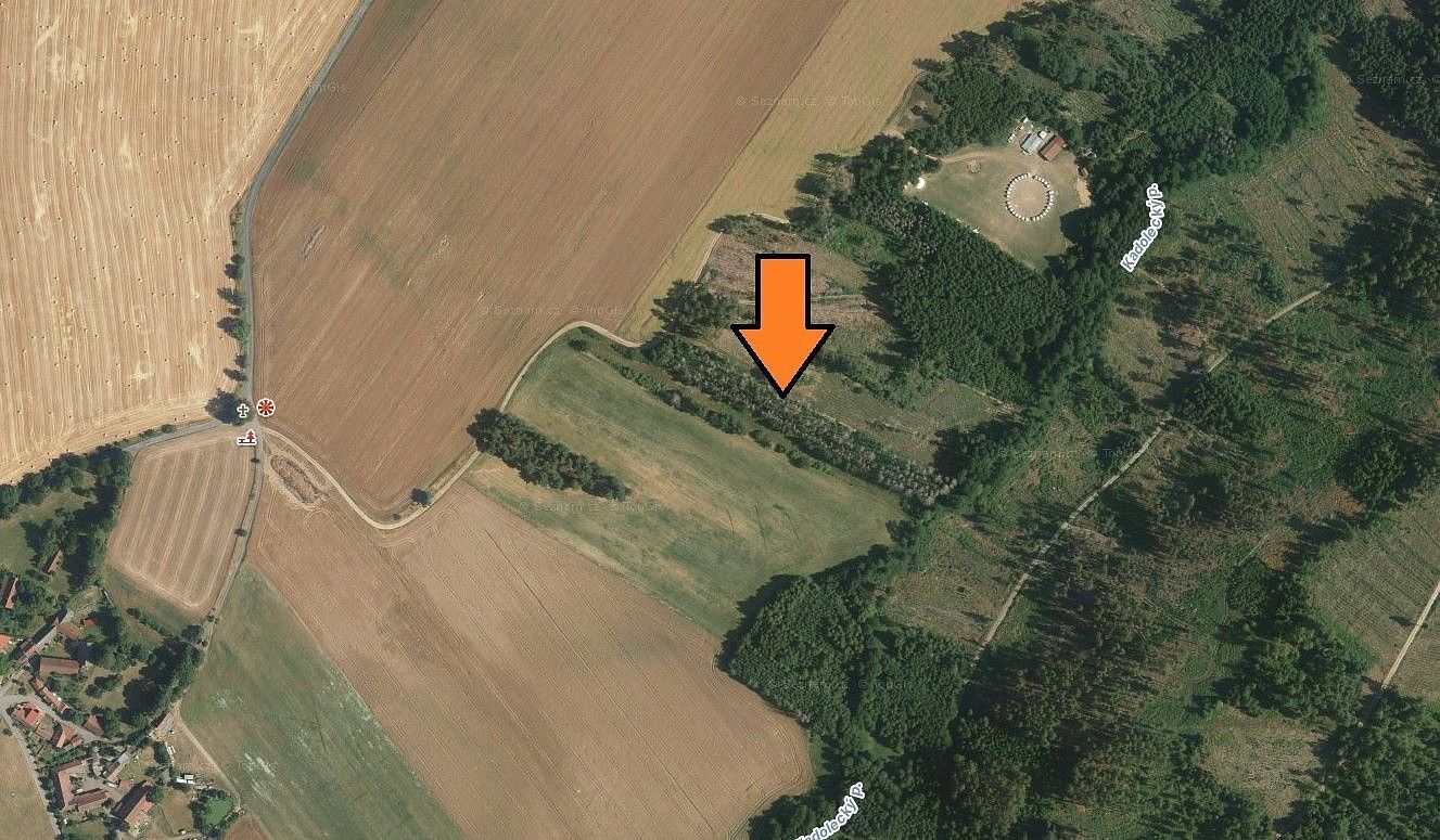 Les · Křižanov - Bojanov, okres Žďár nad Sázavou, Kraj Vysočina - 3