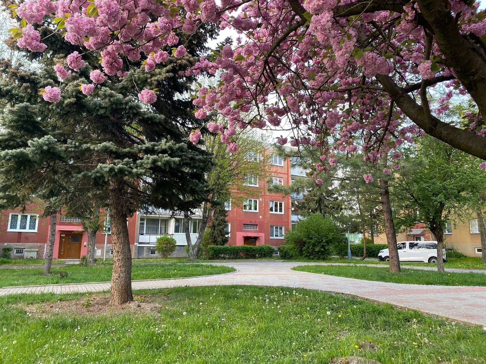 2+1, M. Švabinského, Bílina, 55 m²