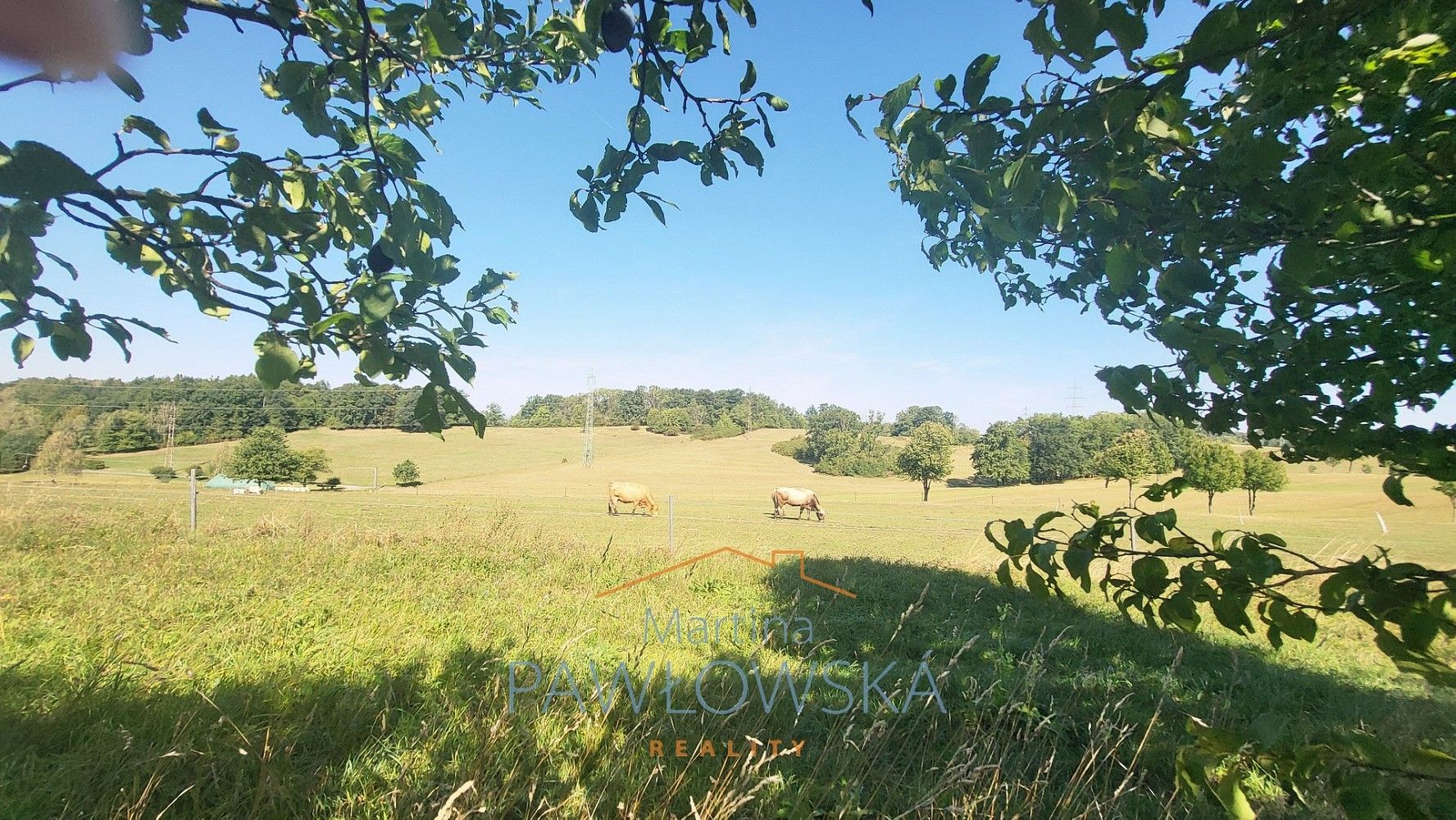 Rodinný dům · 250 m² · Fryčovice, okres Frýdek-Místek - 3