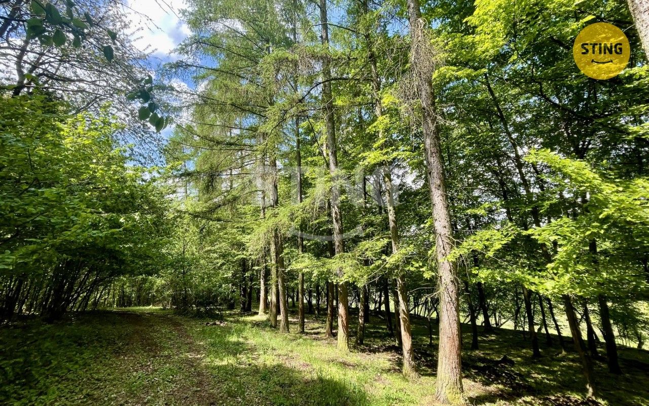 Lesy, Pěčíkov, Městečko Trnávka, 16 440 m² - 2