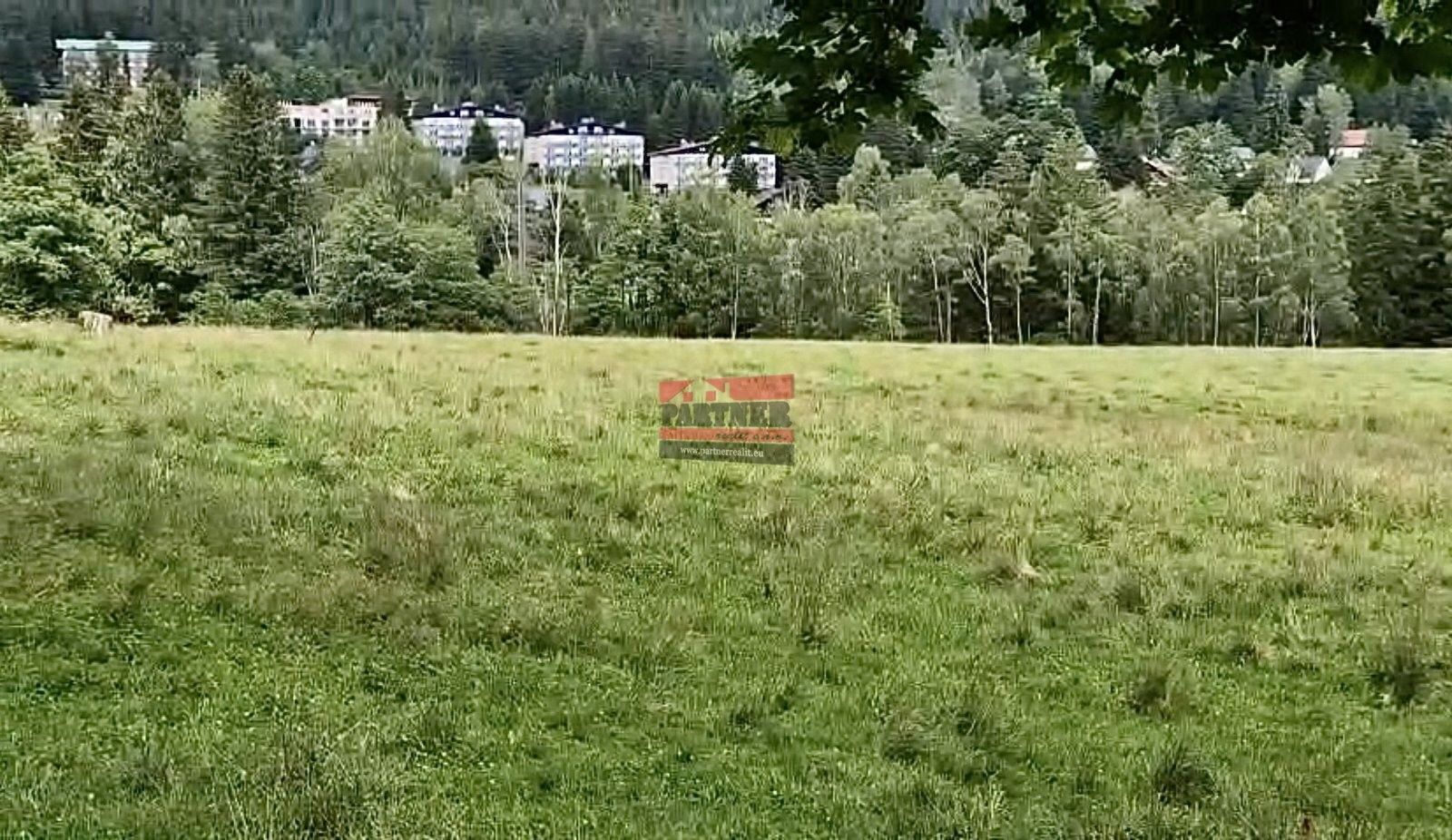 Louka · 1 722 m² · Železná Ruda Špičák - 3