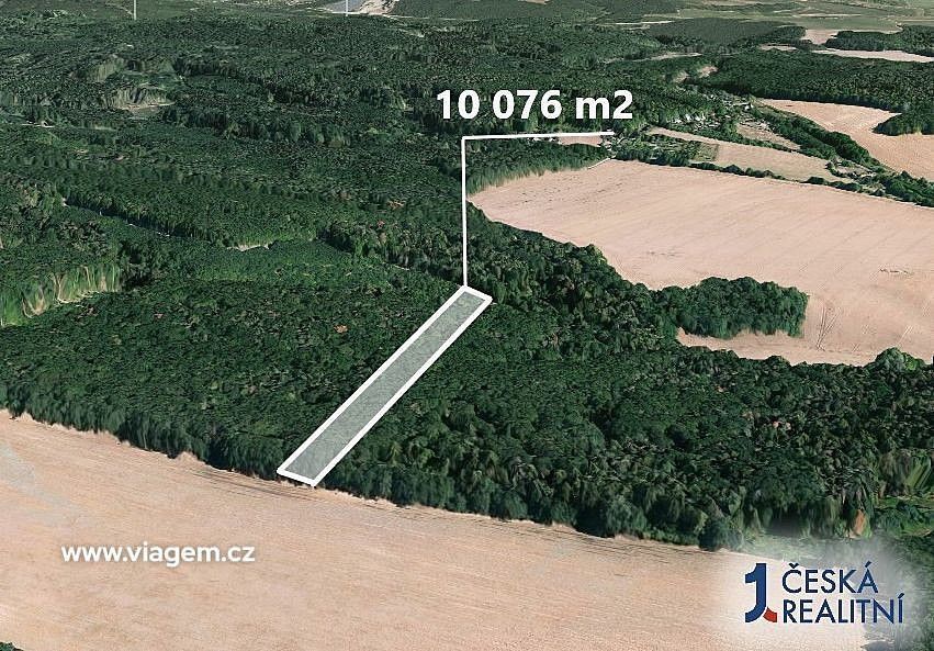 Prodej les - Prštice, okres Brno-venkov, Jihomoravský kraj - 2