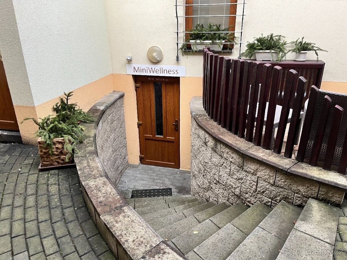 Pronájem ostatní - Kyjov, 697 01