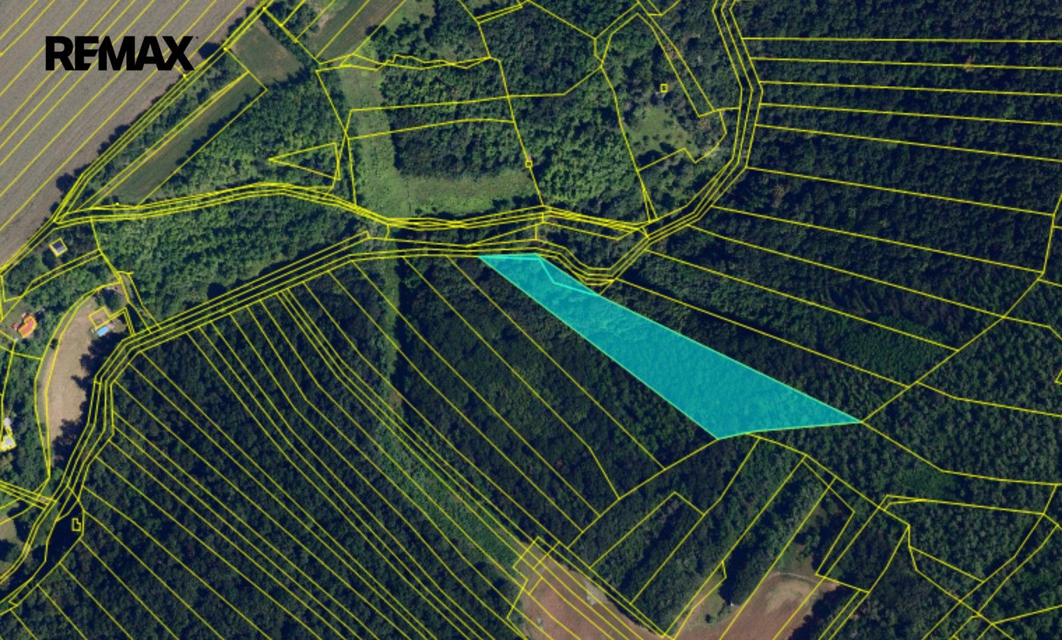 Lesy, Moravské Bránice, 9 157 m² - 2