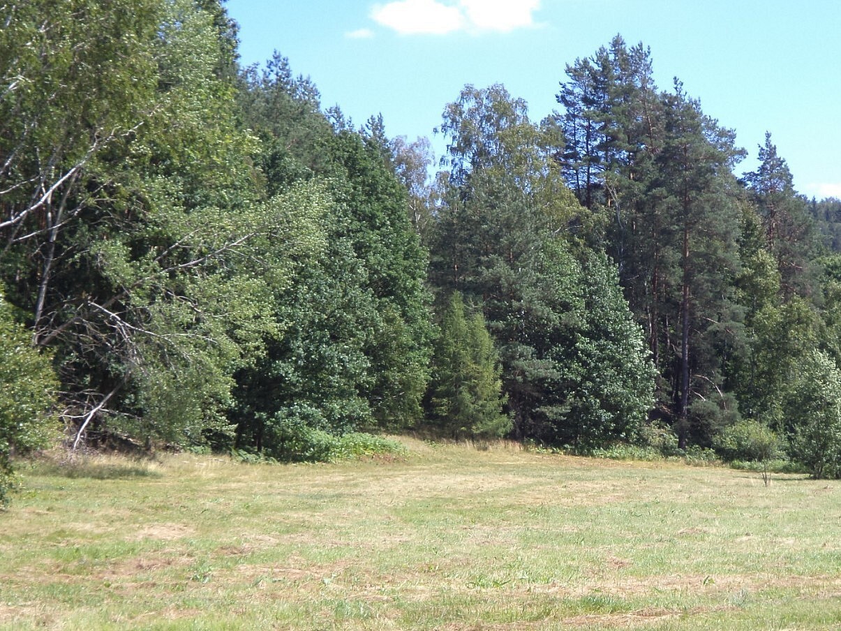 Louka · Mařenice - 3